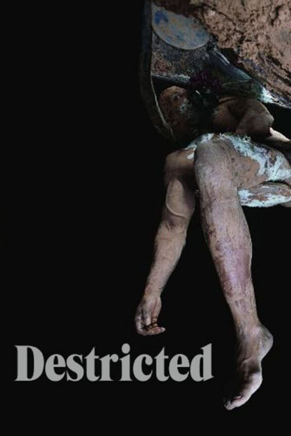 Destricted – Poster