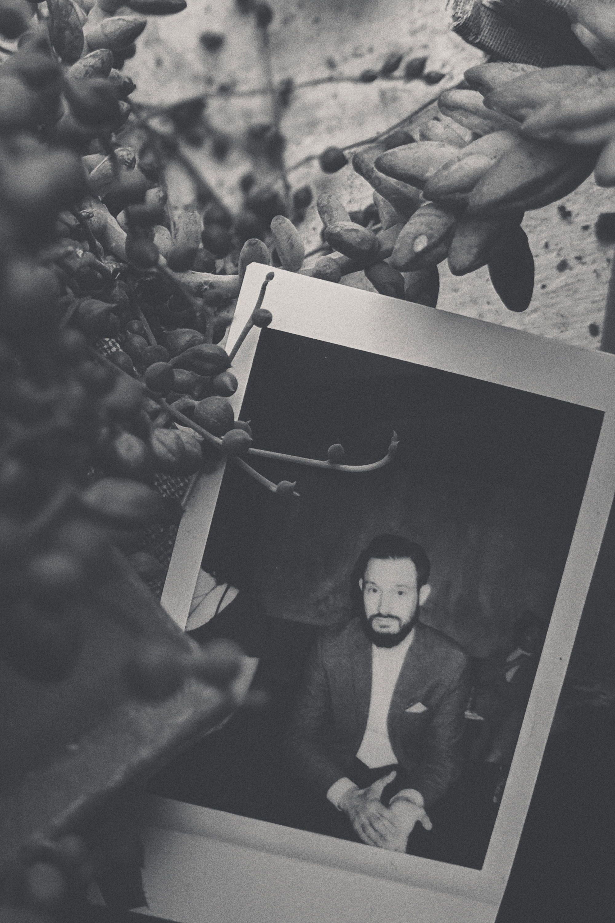 Stephen Mlinarcik – Foto