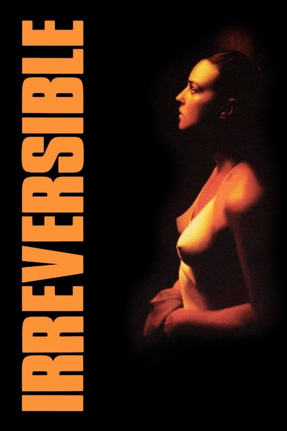 Irreversibel – Poster