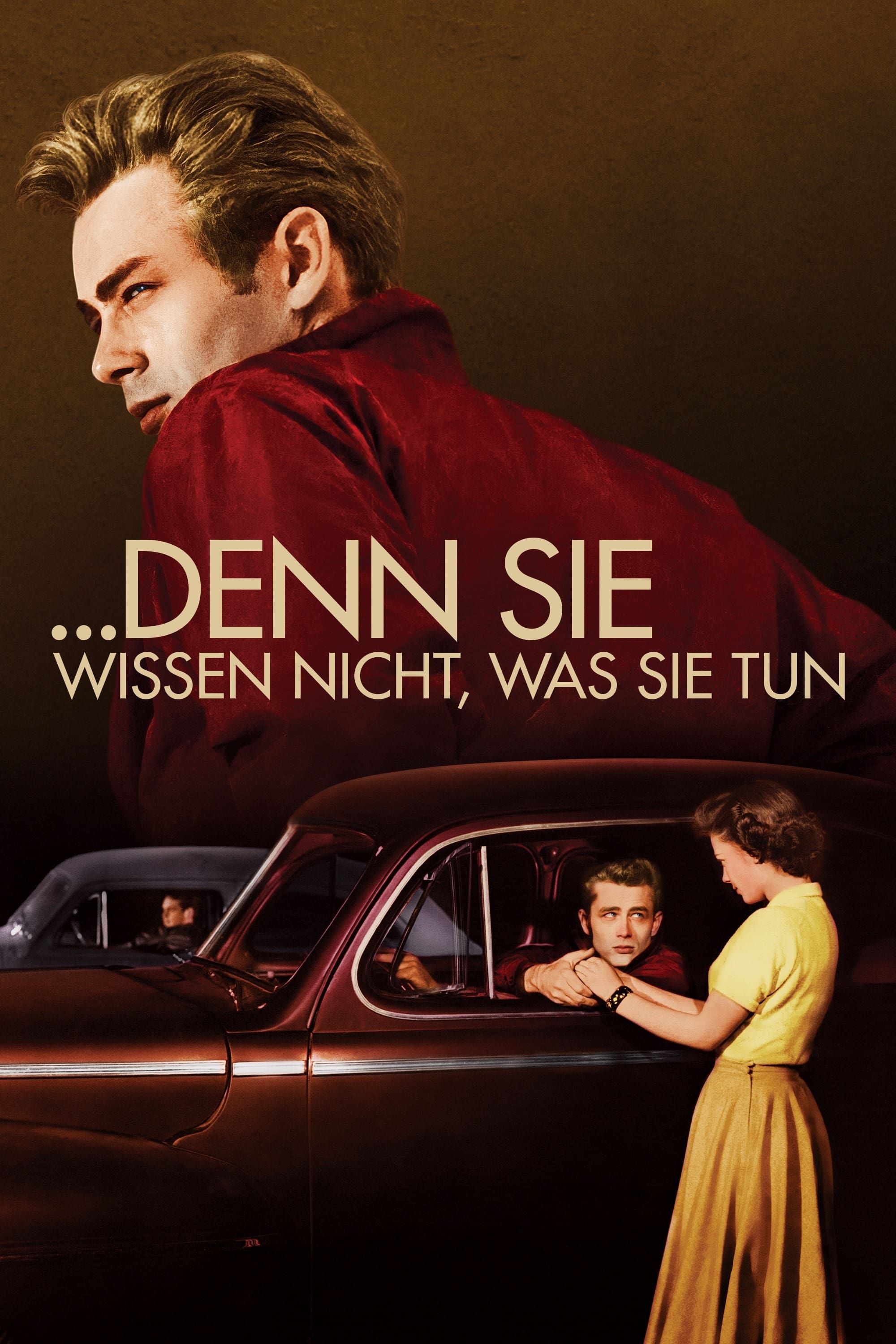 ... denn sie wissen nicht, was sie tun – Poster