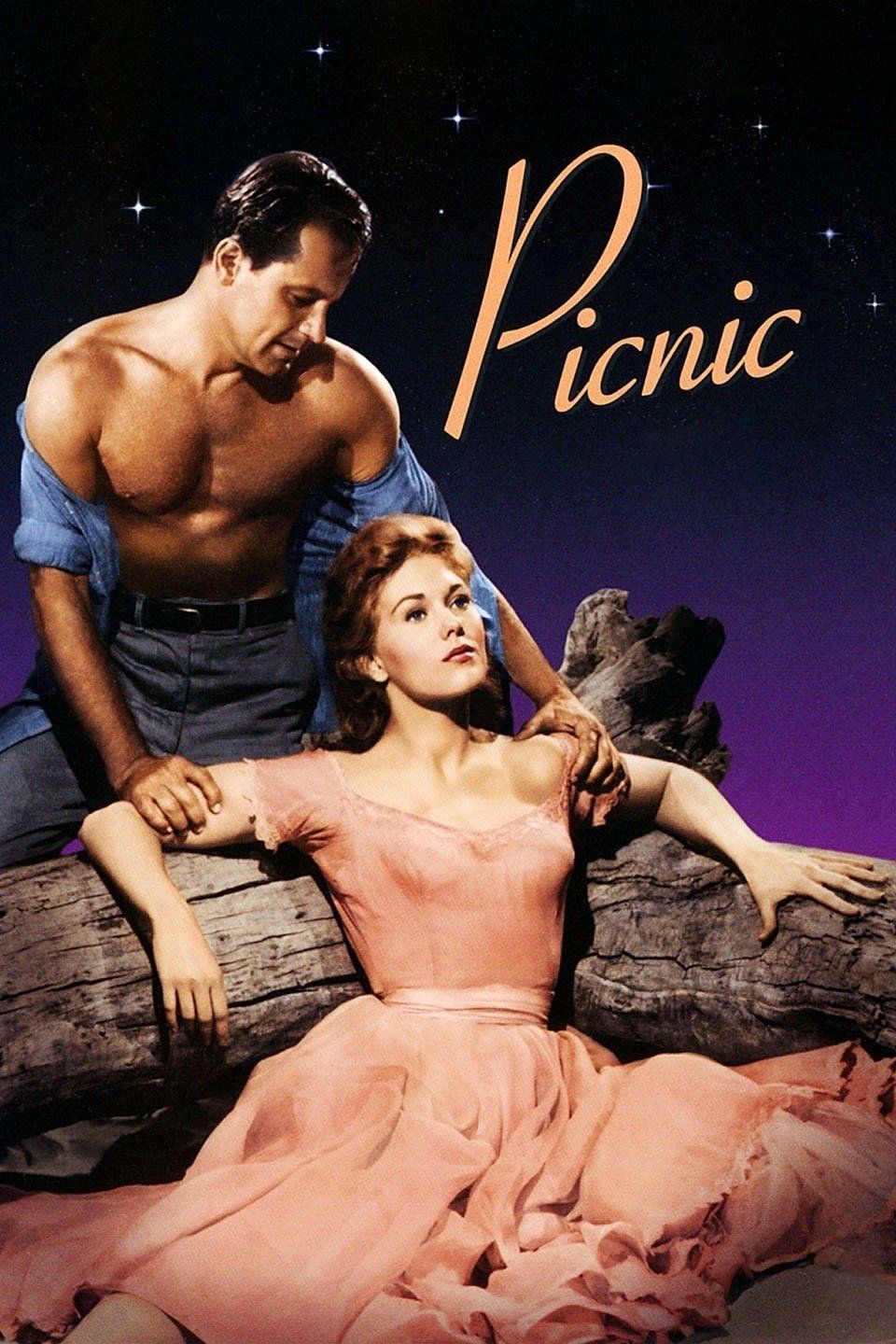 Picknick – Poster