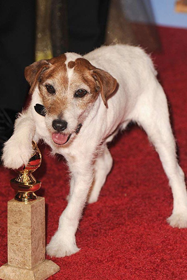 Uggie – Foto
