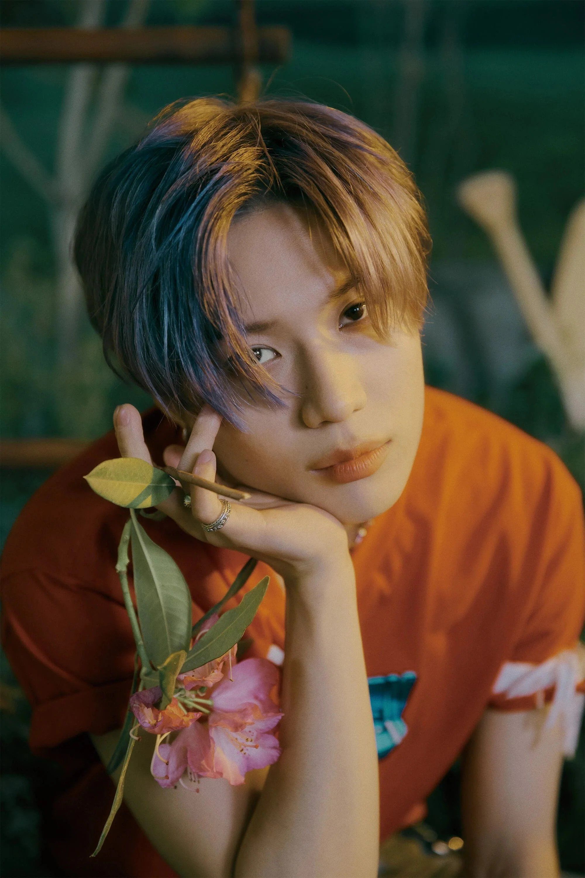 Taemin – Foto